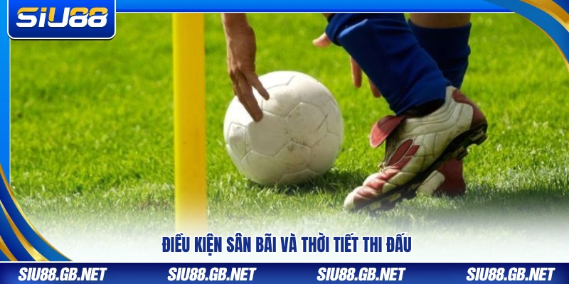 Mẹo Chơi Kèo Góc: Kinh Nghiệm Chọn Trận Dễ Vào Kèo Tại Siu88 3 Yếu tố mặt sân và điều kiện thời tiết khi thi đấu